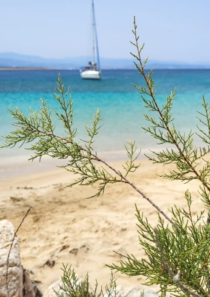 Navigation de 4 heures avec le bateau « Notos »

depuis La Canée

Deux escales baignade

Îles Lazareta et Thodorou
Jusqu'à 8 personnes