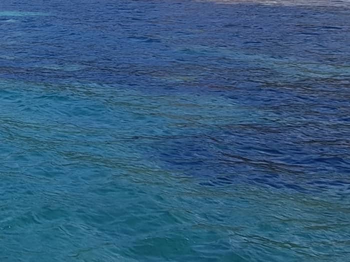 A day sailing on the Argentario with a skipper