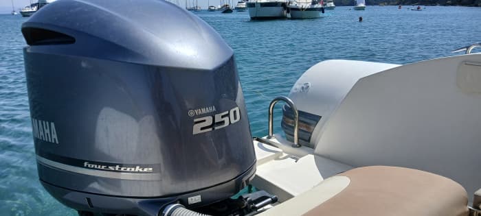 Explorez les joyaux cachés de l’île de Porquerolles pour une journée"Plus de passagers possibles à bord, sur demande."