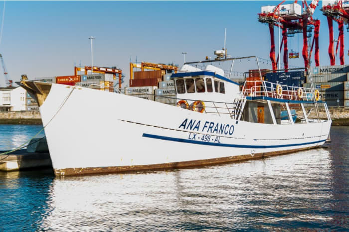 Le meilleur de Lisbonne se trouve sur l'eau : votre journée privée complète en bateau à moteur