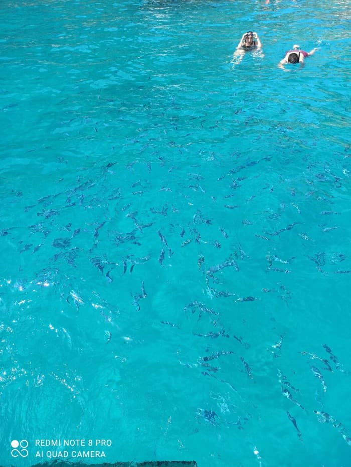 Your day in Mallorca: rent a motorboat for a full day of discoveries