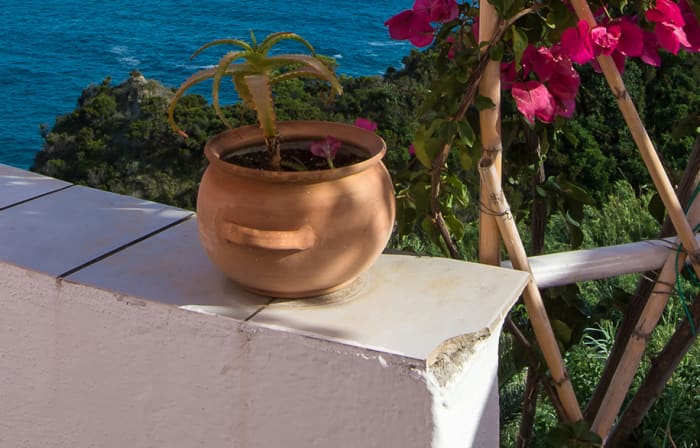 Private Amalfi Coast Boat Experience from Positano: Discover Italy’s Most Iconic Coastline