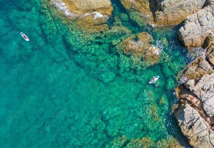 Halbtägige Bootstour an der Costa Brava ab Palamós
