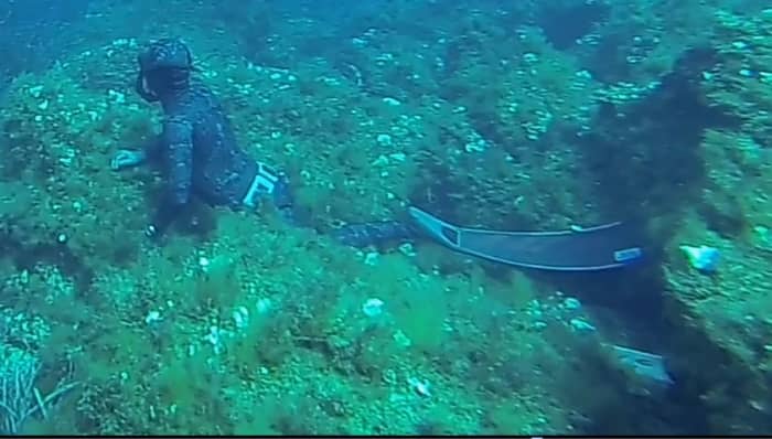 Um dia excepcional no mar ao redor de Hyères e das Ilhas Douradas.