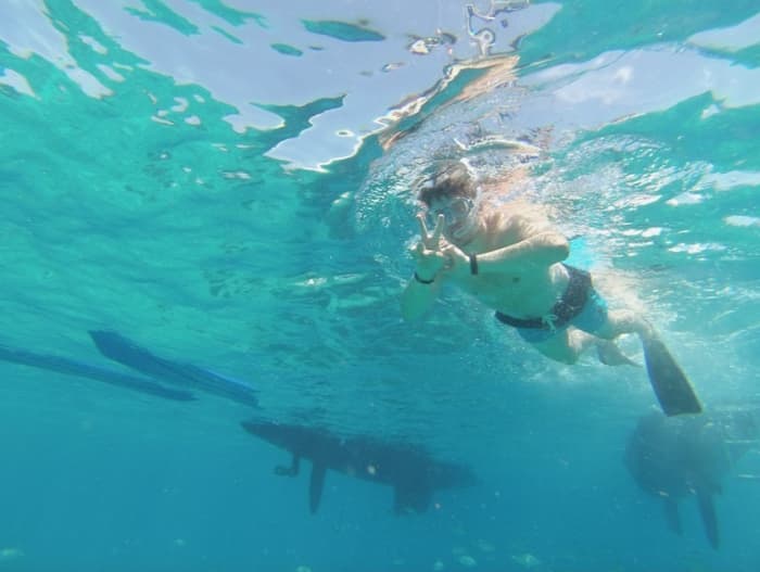 Setzen Sie Kurs auf pures Segelvergnügen: Ein ganzer Tag authentisches Segeln in Corralejo auf einem Katamaran