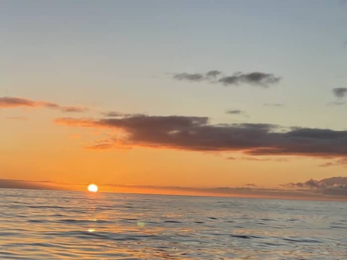 Cap sur le plaisir : une journée complète de navigation authentique à Costa Adeje en catamaran