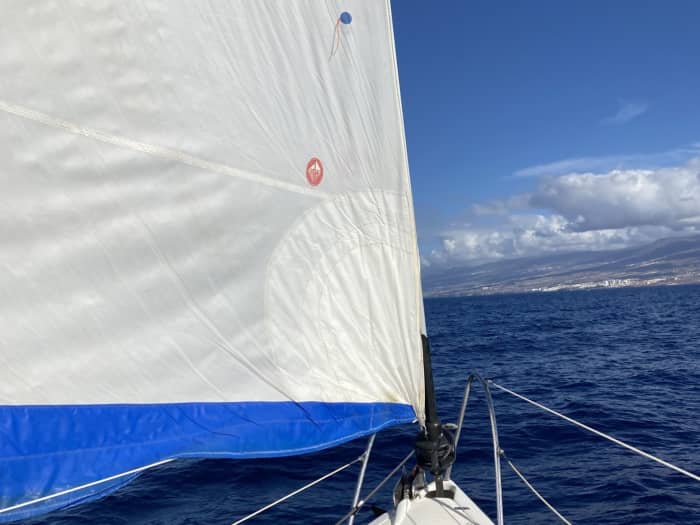 3h Exclusive Whale Watching & Luxury Cruise: Private Charter Along Costa Adeje