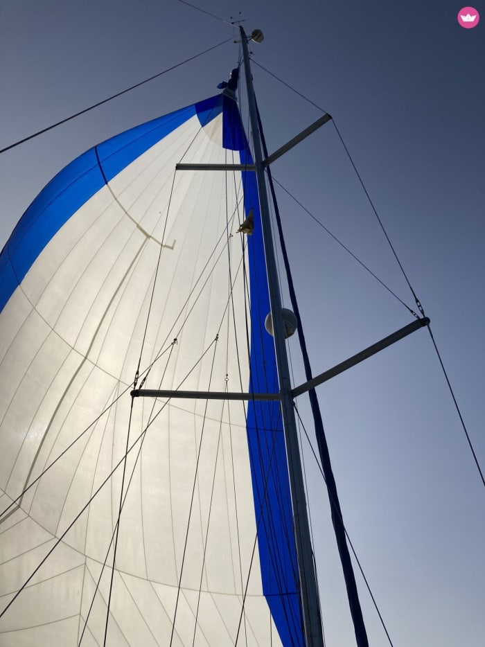 3h Exclusive Whale Watching & Luxury Cruise: Private Charter Along Costa Adeje