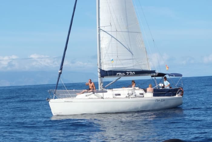 3h Exclusive Whale Watching & Luxury Cruise: Private Charter Along Costa Adeje