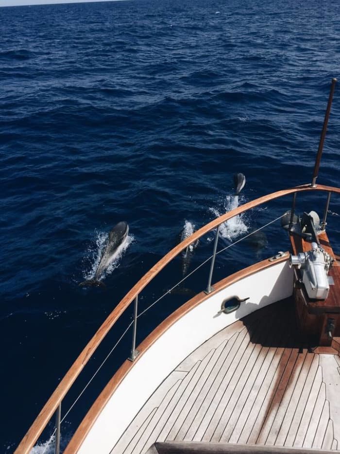Un día clásico en barco en la isla de Elba.