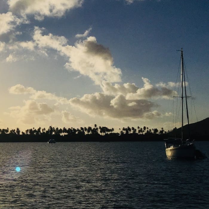 Discover Le Marin on a full-day motorboat trip