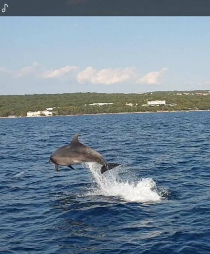 4 Stunden 15 Minuten, um Malinska mit dem Motorboot zu entdecken