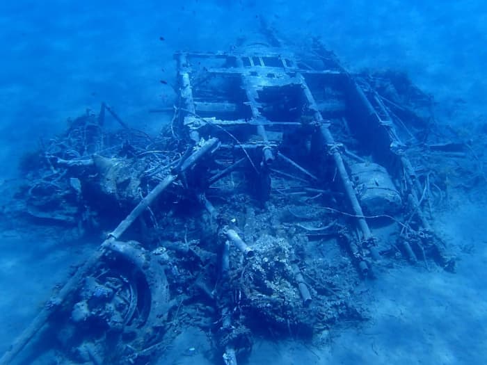 Wrecks, Wildlife & Wine: A Golden Hour Private Island Tour