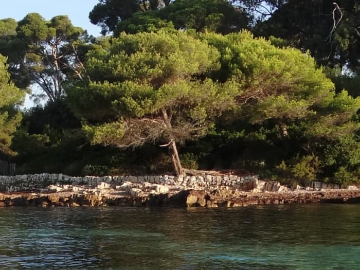 Cały dzień magii w Antibes na motorówce