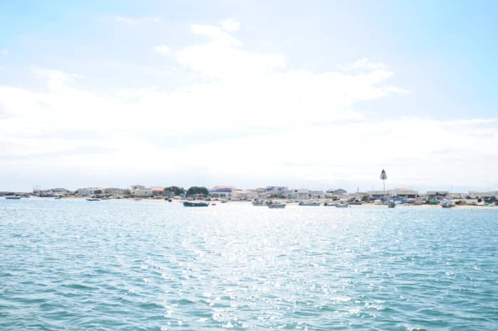 Hands on Sailing experience with a live-aboard Mermaid 🧜‍♀️