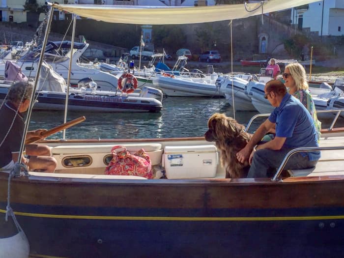 Positano to Capri: Iconic Coastal Cruise