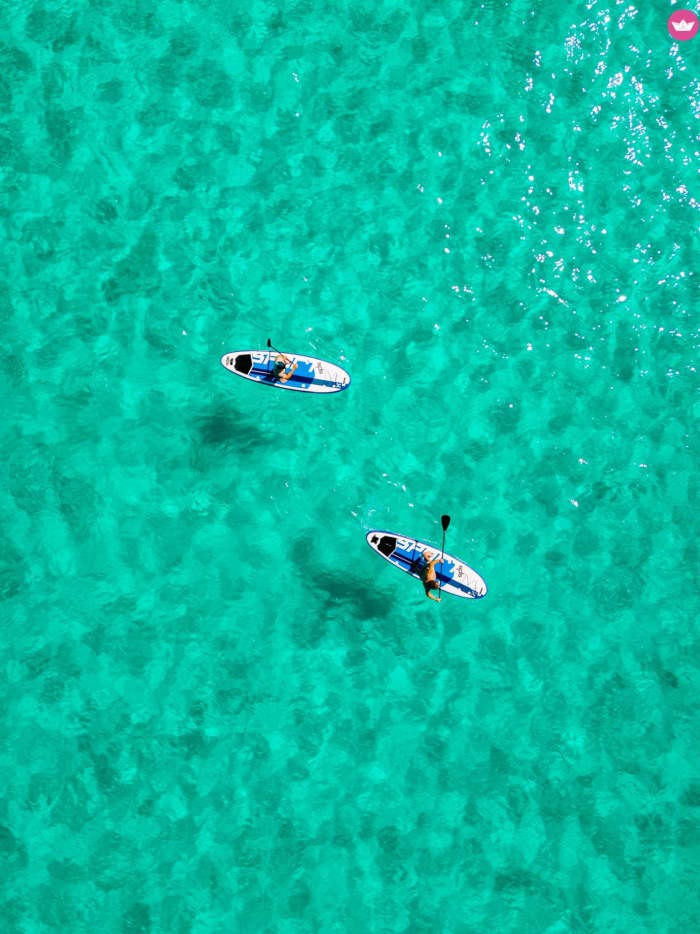 Mallorca in Motion – Half-Day Escape
