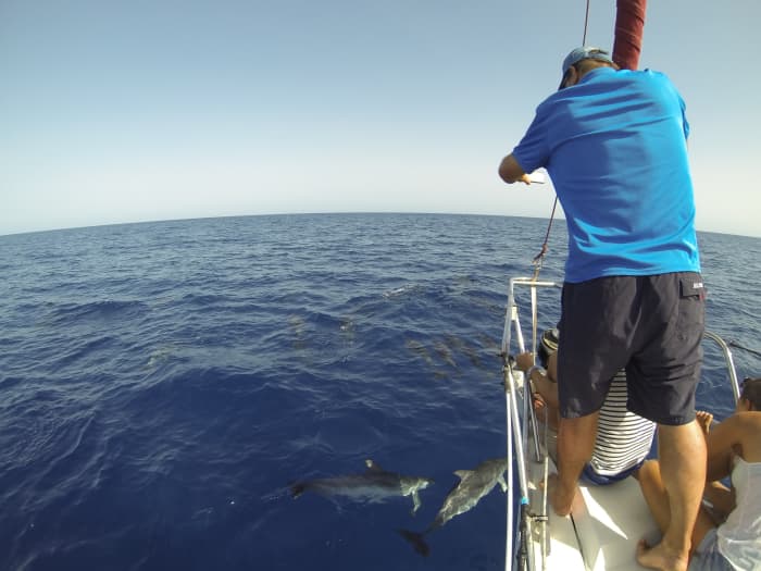 Ganztägiger Segeltörn auf Kreta mit einem Segelboot