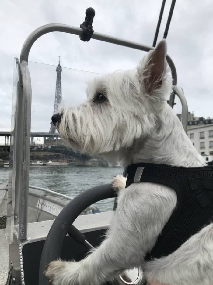 Half-day motorboat rental in Paris