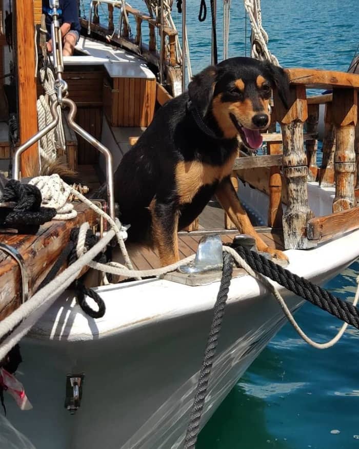 One day in Crikvenica on a motorboat