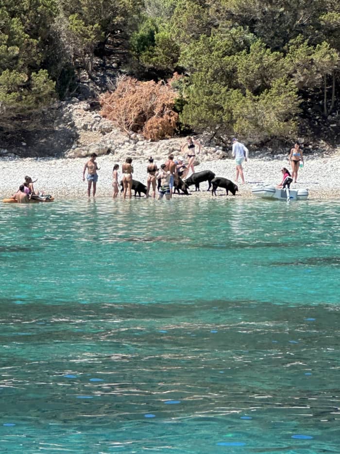 A Taste of the Ionian: Swim, Sail & Unwind in Hidden Coastal Gems