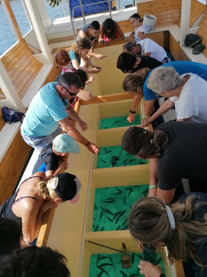 Pula escape: 2h of relaxation on a motorboat