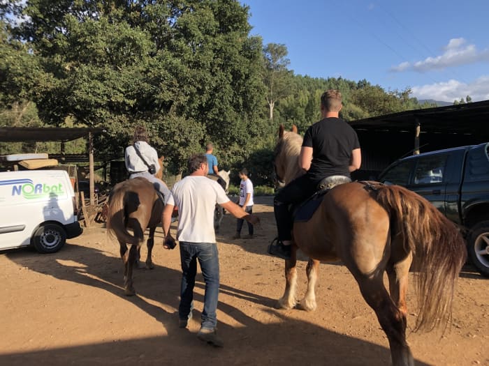 Half-day Castelo de Paiva discovery: Your short escape on a motorboat