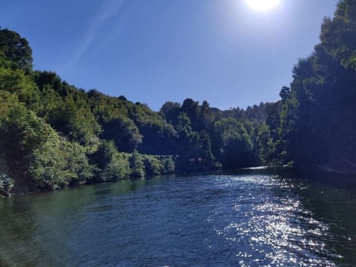 Sailing on the Paiva River with a visit to “Ilha dos Amores” (Lovers' Island).