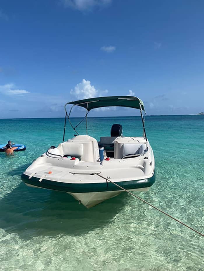 Halbtägiger Ausflug auf die Bahamas: Schwimmen, Wildtiere und Erkundungstouren