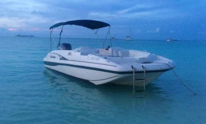 Halbtägiger Ausflug auf die Bahamas: Schwimmen, Wildtiere und Erkundungstouren