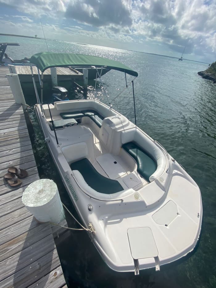 Halbtägiger Ausflug auf die Bahamas: Schwimmen, Wildtiere und Erkundungstouren
