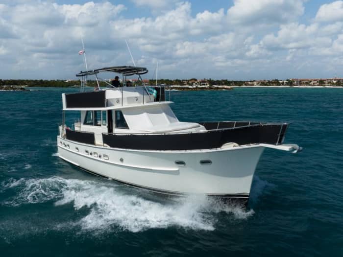 A full day of magic in Puerto Aventuras on a motor yacht