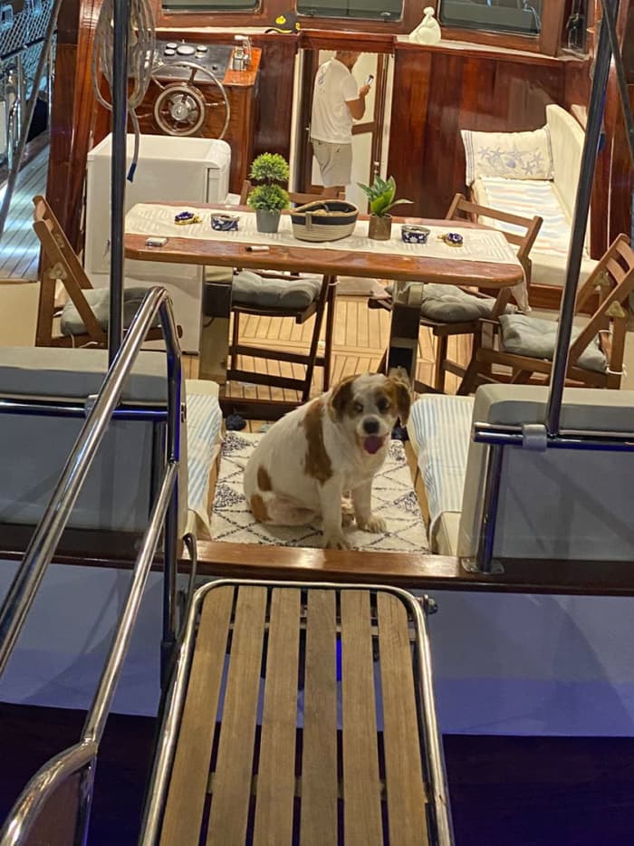 Privécruise van een hele dag naar Bodrum