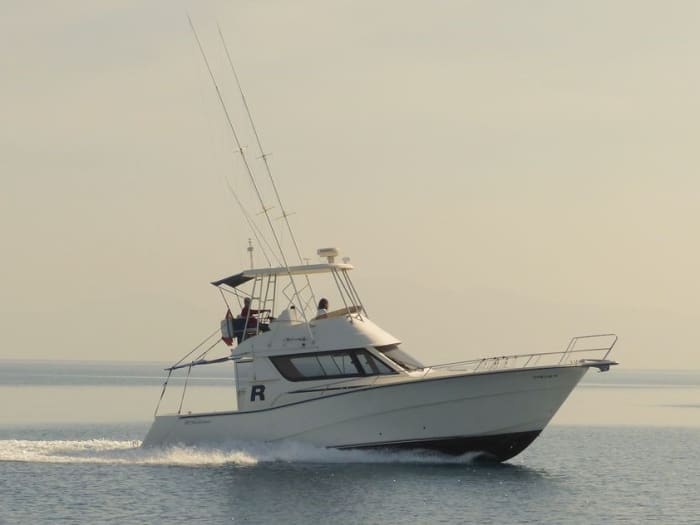 7-hour tour with a local skipper