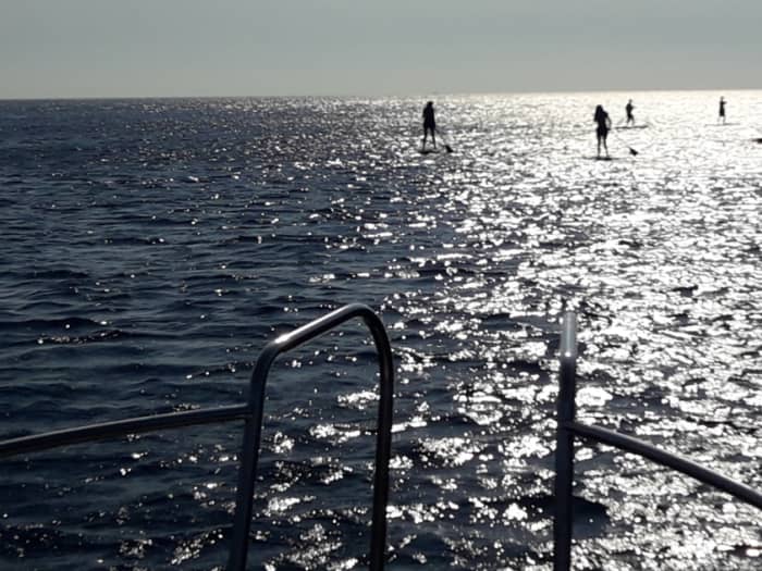 Excursion privée en bateau à moteur autour de Vis