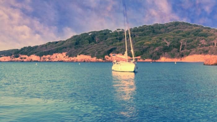 Découvrez Saint-Mandrier-sur-Mer lors d'une excursion d'une journée en bateau à moteur