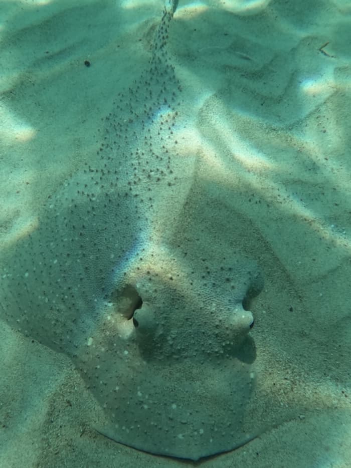 Nehmen Sie sich 9 Stunden Zeit, um die verborgene Magie der Seychellen vom Wasser aus zu entdecken.
