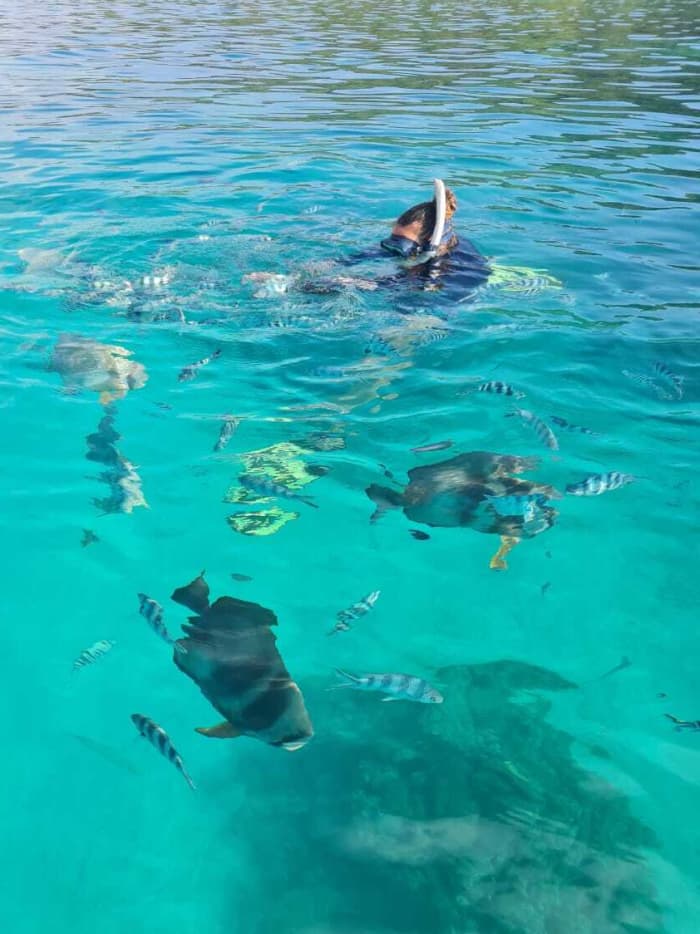 Nehmen Sie sich 9 Stunden Zeit, um die verborgene Magie der Seychellen vom Wasser aus zu entdecken.