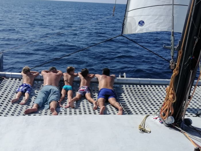 Setzen Sie Kurs auf pures Segelvergnügen: Ein ganzer Tag authentisches Segeln in Playa Blanca auf einem Katamaran