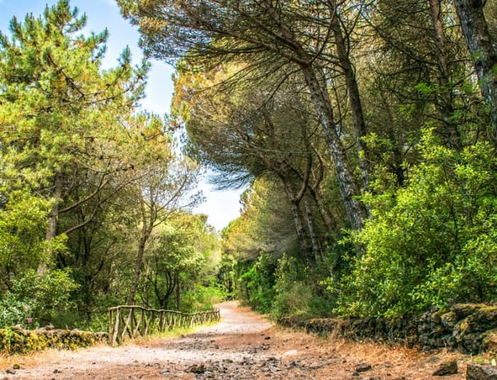 Wandeling naar de Vesuvius en zeiltocht langs de kust van Sorrento