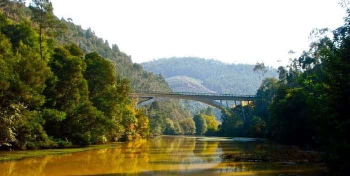 Full Day Douro River Expedition – Beaches, Dam Locks & Island of Love