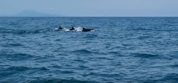 Full-day tour of the Basque Coast