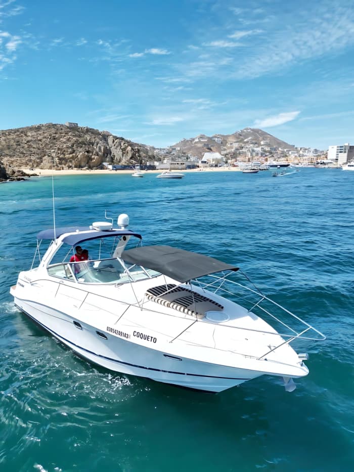 Cabo's exclusieve oceaanreis: 2 uur durende privékust- en snorkelcruise