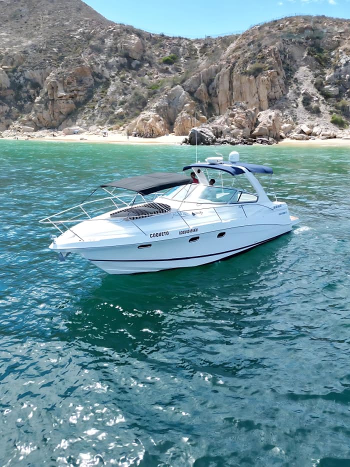 Cabo's exclusieve oceaanreis: 2 uur durende privékust- en snorkelcruise