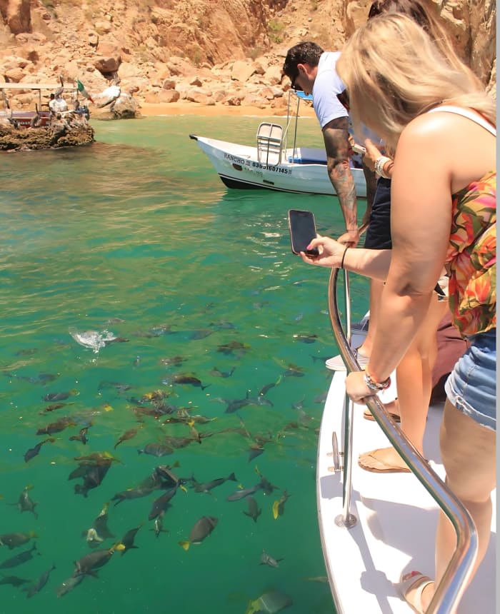Cabo's exclusieve oceaanreis: 2 uur durende privékust- en snorkelcruise