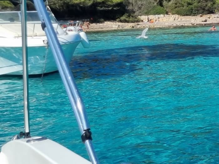 Fuga da Saint-Laurent-du-Var: 3 ore e 30 di relax su un motoscafo.