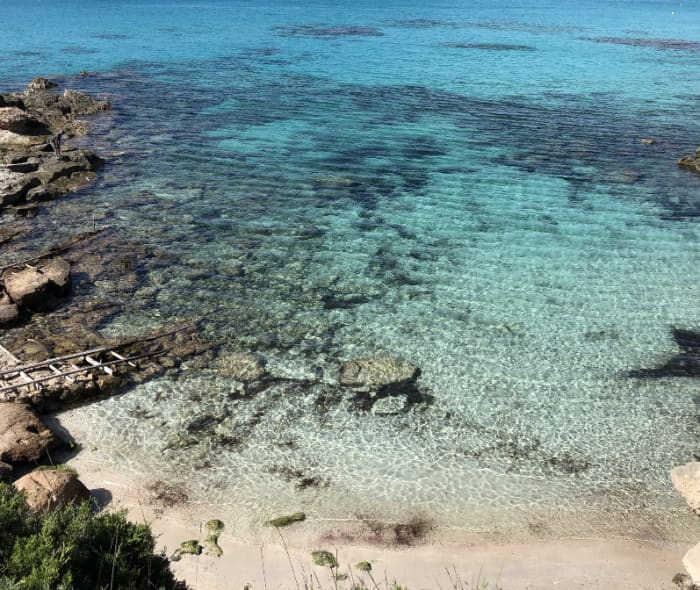 Balearic Paradise: Full-Day Escape to Formentera or Es Vedrà