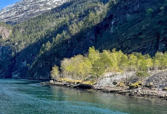 Ontdek Bergen vanaf het water: een hele dag op het water aan boord van een motorboot.