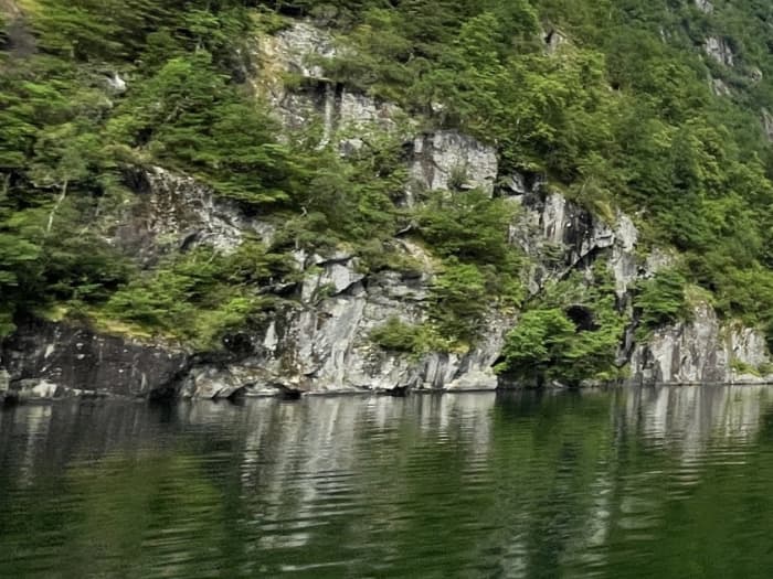 Ontdek Bergen vanaf het water: een hele dag op het water aan boord van een motorboot.