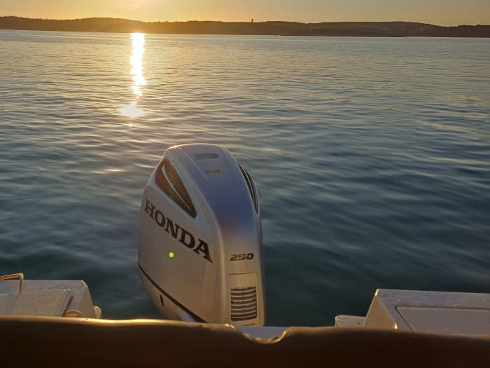Dolphins and Sunset experience